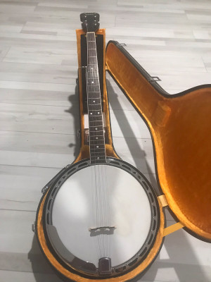 公式ストア 弦楽器 希少♦︎早い者勝ち ビンテージ epiphone
