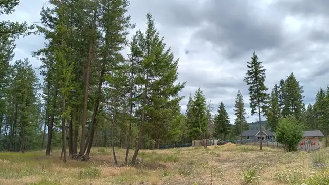 Princeton BC 1.999 Acres Land for Sale by Owner in Land for Sale in Penticton - Image 4