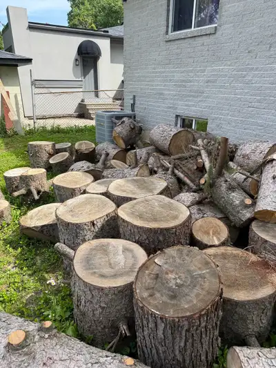 free wood , View more