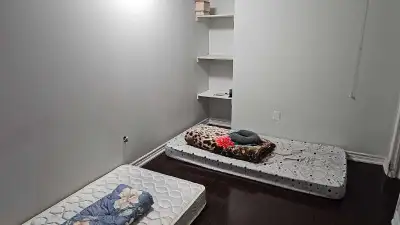 sharing room for rent in basement