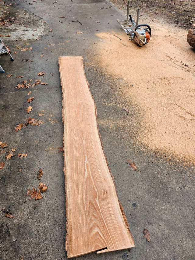 Red oak live edge in Other in Barrie - Image 3