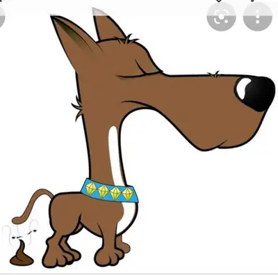 $69 AND UP PET WASTE REMOVAL, View more