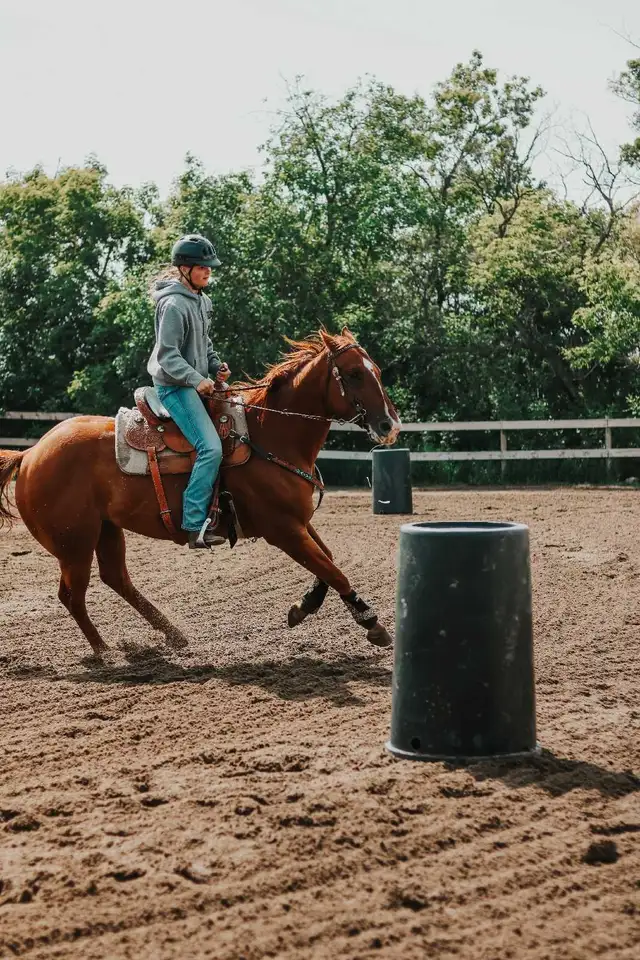 Riding lessons575594891188654084