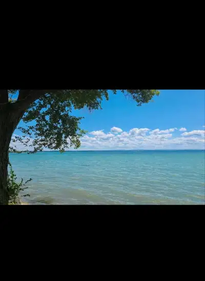 Logement à Louer / Condo for rent