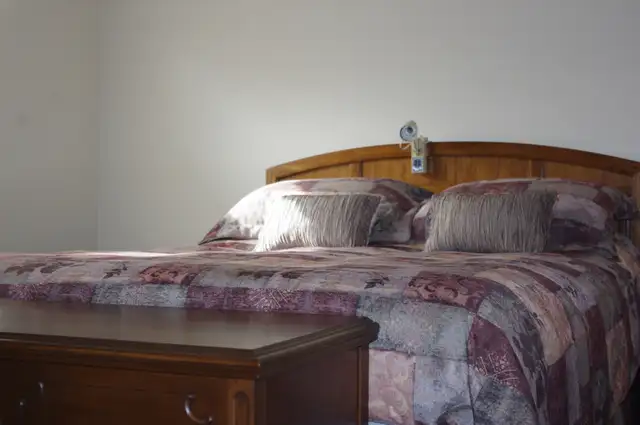 Queen Size Duvet Cover with Shams in Bedding in Oshawa / Durham Region - Image 3