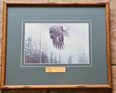Vintage 1978 Robert Bateman "Majesty On The Wing - Bald Eagle", View more