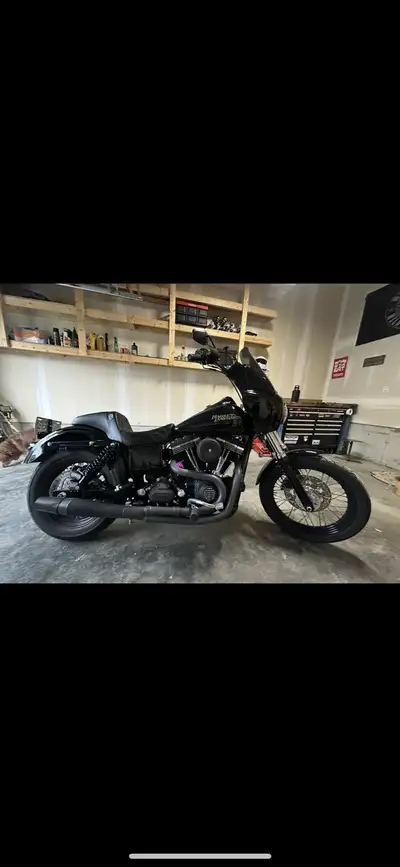 2015 Harley dyna low rider (message for video walkaround) Just testing the waters 37k km and rising...