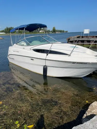 Good condition.