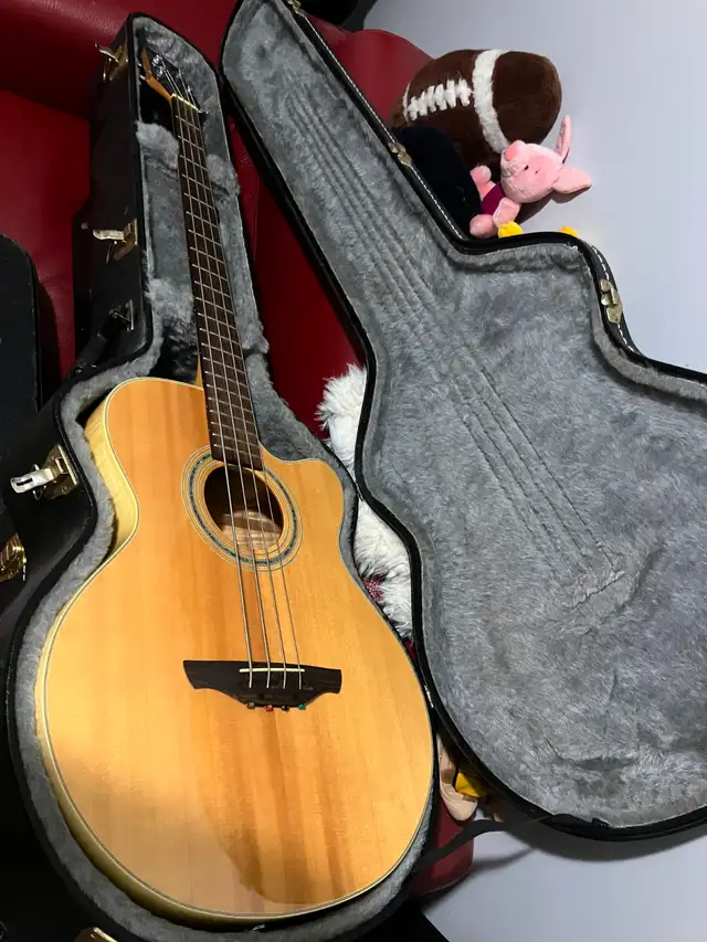 Beautiful Electric/Acoustic Takemine Bass Guitar in Guitars in Markham / York Region - Image 6