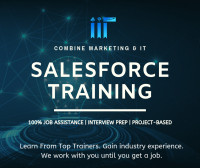 Salesforce Developer Course - Hands On & 100% Job Assistance!