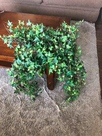 Faux Ivy in a basket (2 available)