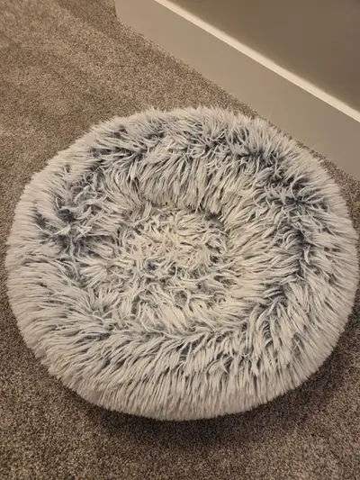 Used dog (or cat) bed. Suitable for small dogs (used by a Maltese). Pick up south side