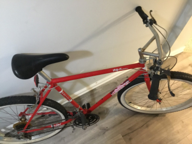 Steel frame bike for sale in Road in Napanee - Image 4