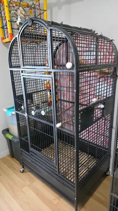 Grande cage a perroquet, View more