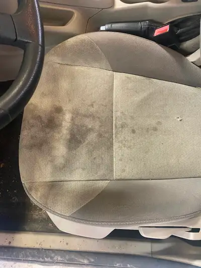 We come to you Mobile Detailing starting at $40, View more