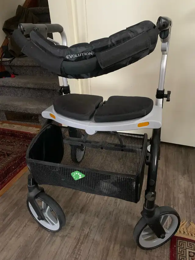 Evolution Walker