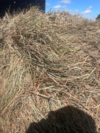  dry round bales trade for straw