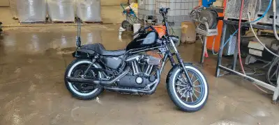 2010 XL883, only 18xxxkm. Runs and rides great needs nothing. Bike is fuel injected. Oil was just ch...