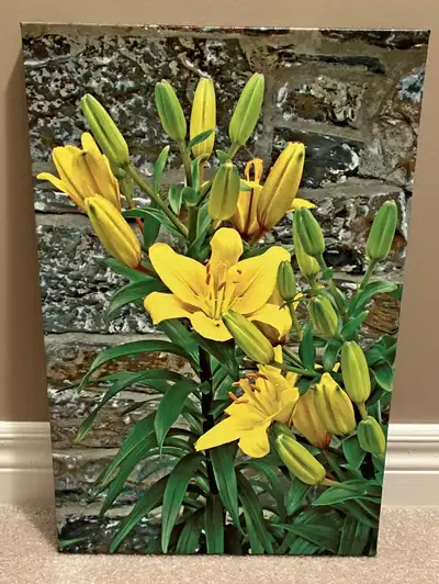 Like New Picture if Lilies - Made of Vinyl on Wooden Frame, View more