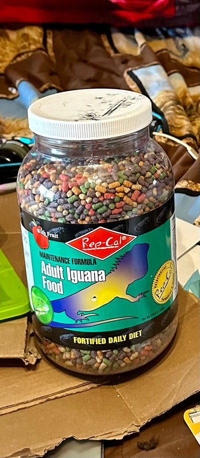  Aduit iguana food 