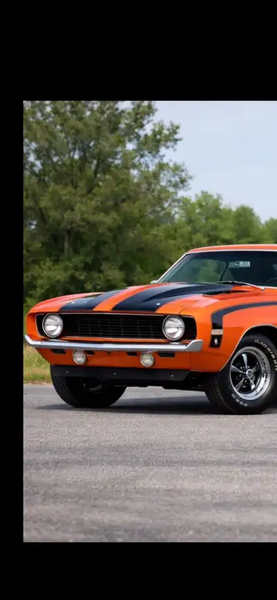 Phoenix Graphix rally stripes for hood and trunk. For Cowl Induction Hood. Have a set of black and w...