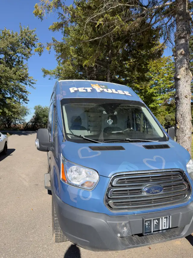PET GROOMING VAN FORD 