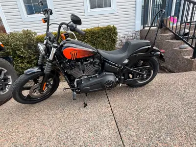 2023 Streetbob with only 667 Kms Add ons Harley screaming eagle tuner V and H pipes Harley Seat Harl...