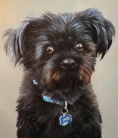 Pet portraits from your photos, View more