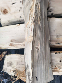 Dry tamarack firewood 