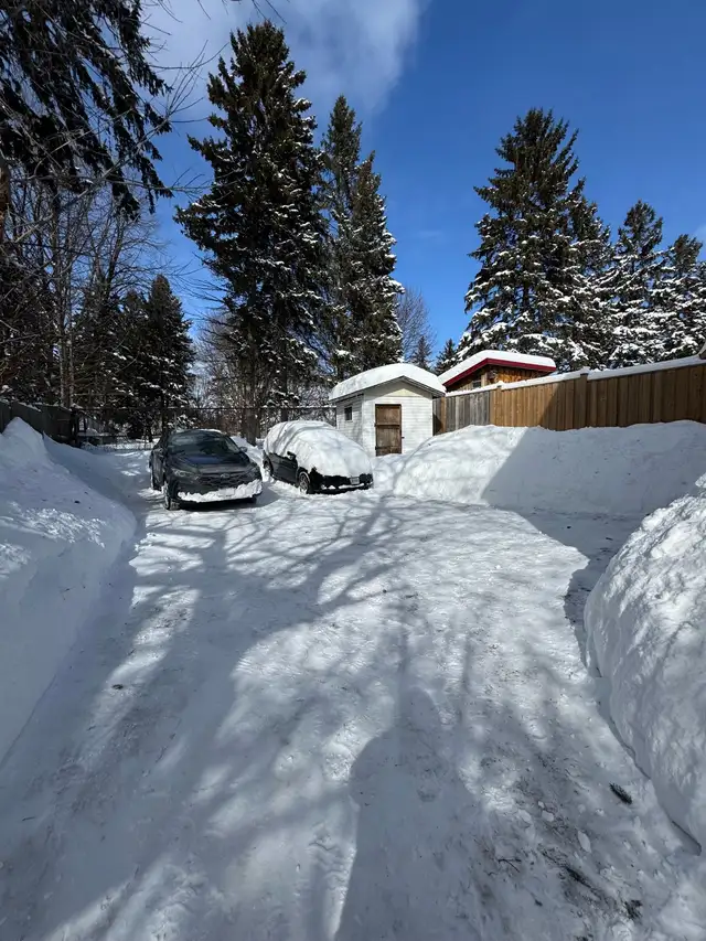 snow removal services64346708281218124