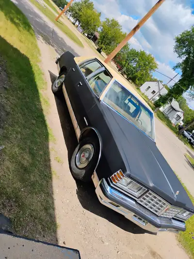 Nice car, interior like new, 305 2 barrel carb, new tires on back. New battery, heater core. Starts...