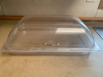 clear Dome Flip Cover and display tray, View more