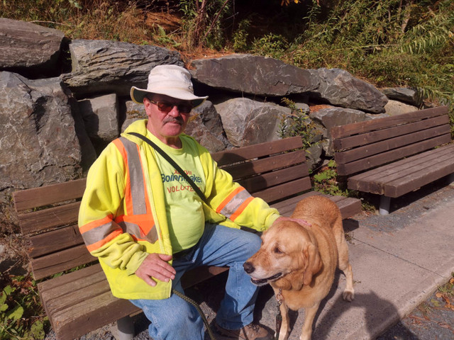Dogwalking in HRM, Potty breaks and more in Animal & Pet Services in Dartmouth - Image 4