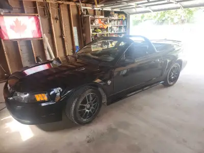 1999 mustang convertible gt 4.6 litre engine 5 speed manual newer tires and rims and flowmaster exha...