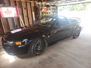 1999 Ford Mustang