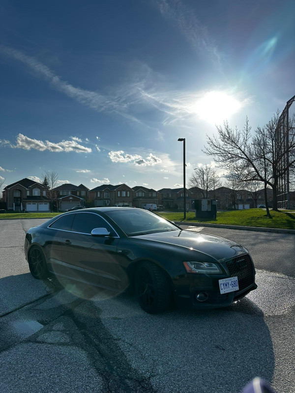 Audi S 5 naturally aspirated V 8 in Cars & Trucks in Mississauga / Peel Region