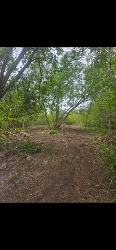 FREE Land to grow near Greely!  Water onsite, View more