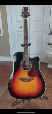 Guitar with case and loop pedal 