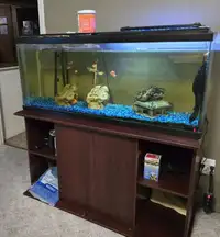 65 GALLON FISH TANK and STAND