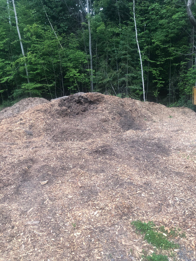 Wood chips  in Other in Kingston