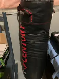 Century 100lb punching bag