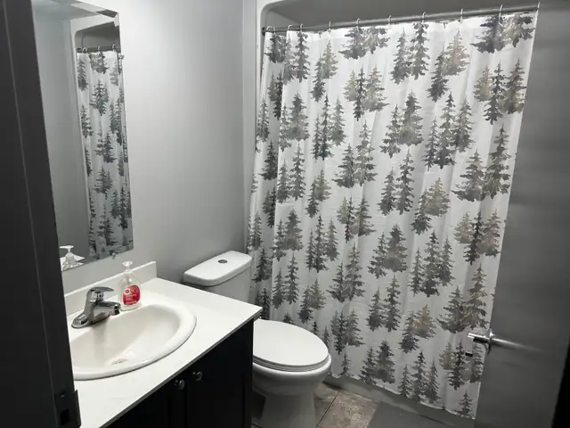 1 bedroom with ensuite -Fall 1 year lease or winter 2027 sublet in Room Rentals & Roommates in Kitchener / Waterloo - Image 5