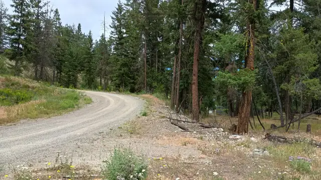 Princeton BC 1.999 Acres Land for Sale by Owner in Land for Sale in Penticton - Image 9