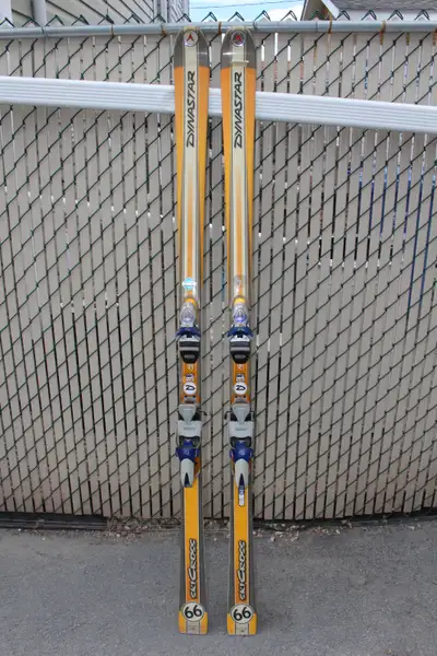 Dynastar Skicross Skis, Made In France!, View more