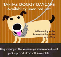 Tania’s Doggy Daycare