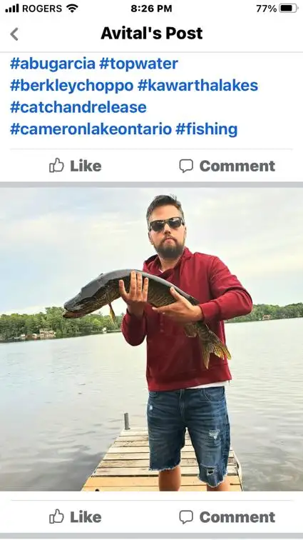 Cottage for Rent Kawartha Lakes in Ontario in Canada - Image 10