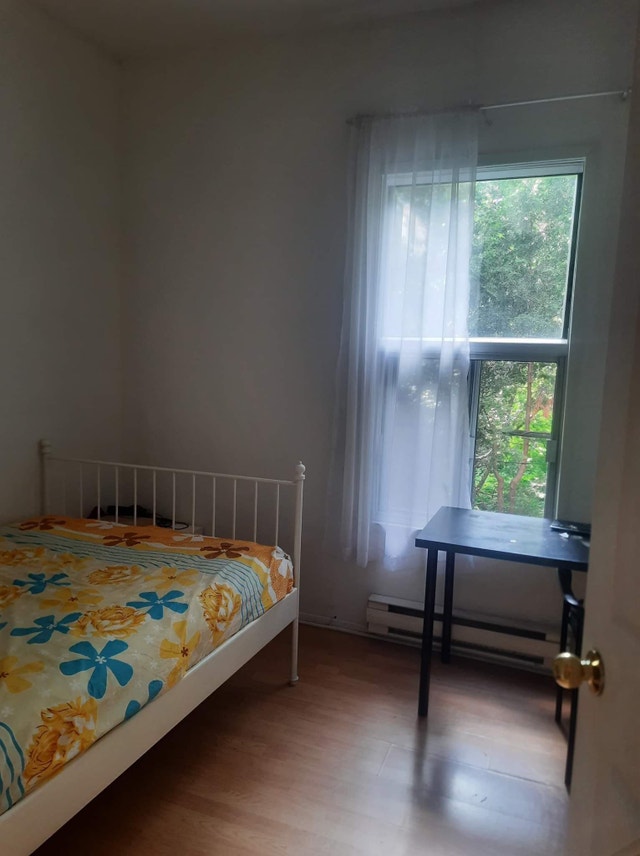 Looking for a girl roommate Chambres à louer et colocs Ville de
