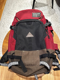 Dakine heli-pro 20 Liter Ski Backpack