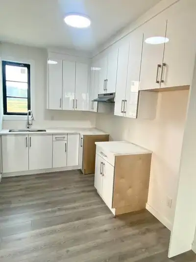 Available Now – 2 Bed 1 Bath Detached Suite in South Surrey (34 Ave & 168 St) • 2 bedrooms, 1 bathro...