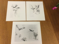 Set of 3 Mario Fernandez developmental sketches